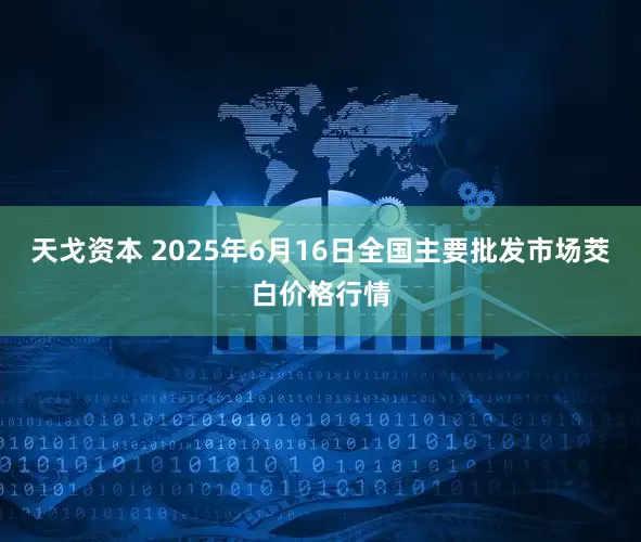 天戈资本 2025年6月16日全国主要批发市场茭白价格行情