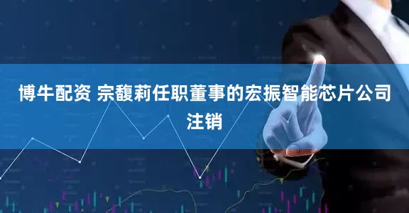 博牛配资 宗馥莉任职董事的宏振智能芯片公司注销